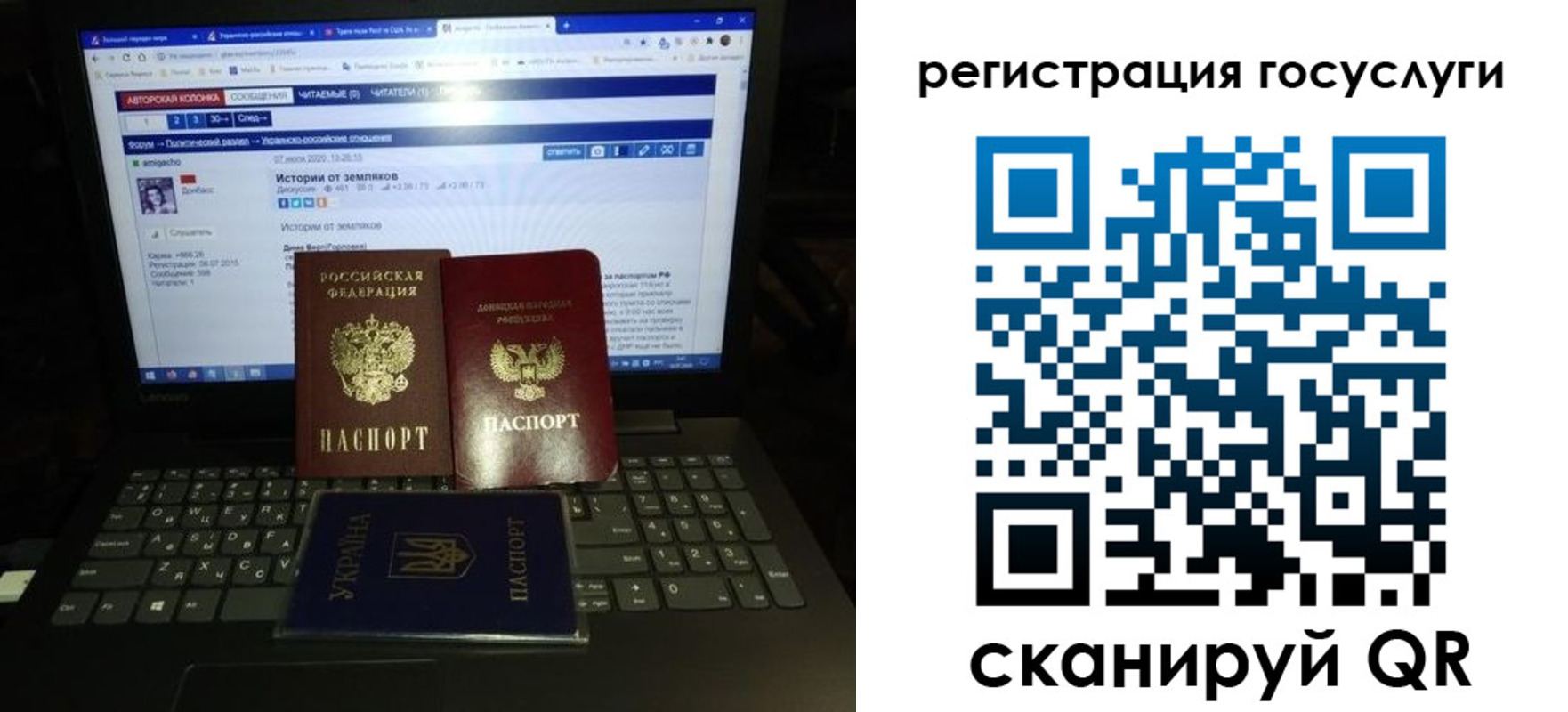 прописка поиск в Павловске